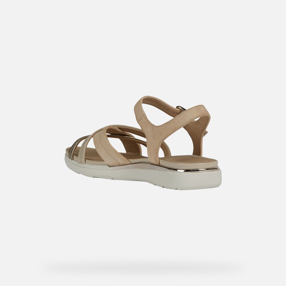 Sandalias Geox Senhora Bege Escuro - Hiver - VBKXR8302